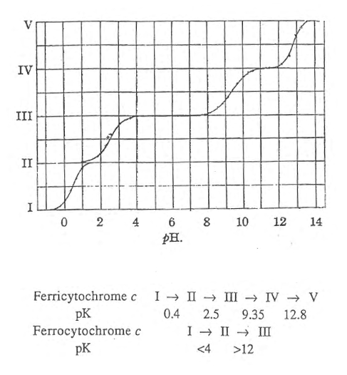 Figure 37 -  pH-dependent transitions. Thorell and Akesson showed that horse ferricytochrome c has 5 pH- dependent conformational states and ferrocytochrome c has three as proposed on the basis of spectrophotometric measurements.