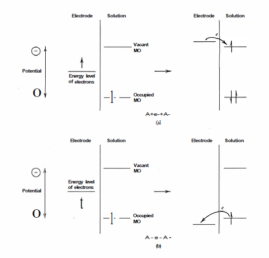 Figure 47 - The value of E exhibited by an individual redox couple is a reflection of the relative stability of the reduced and oxidized states.
(a) Any factor which acts to stabilize the oxidized form makes the redox couple a better electron-donor and results in a more negative redox potential.
(b) Conversely, any factor which acts to stabilize the reduced form makes the couple a better electron-acceptor and gives rise to a more positive redox potential.