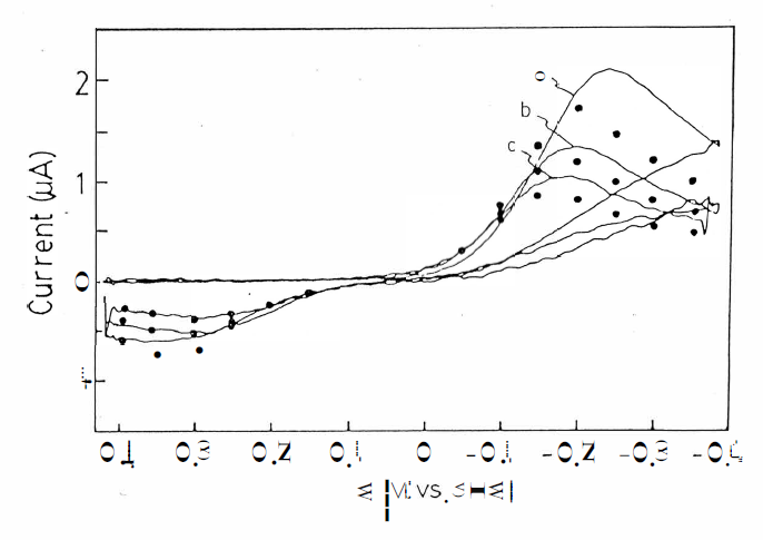 Figure 51 - Cyclic voltammogram of myoglobin under nitrogen [Mb] = 54 uM. Scan rates: (a) 200 MV/s (b) 100 mV/s (c) 50 mV/s.
