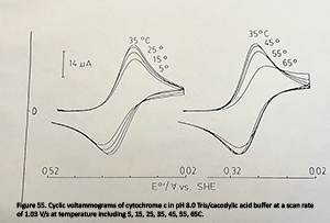 Figure 55. Cyclic voltammograms of cytochrome c in pH 8.0 Tris/cacodylic acid buffer at a scan rate of 1.03 V/s at temperature including 5, 15, 25, 35, 45, 55, 65C.3 