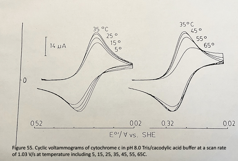 Figure 52 - The Electrochemical Cell Especially Designed For Temperature Studies.