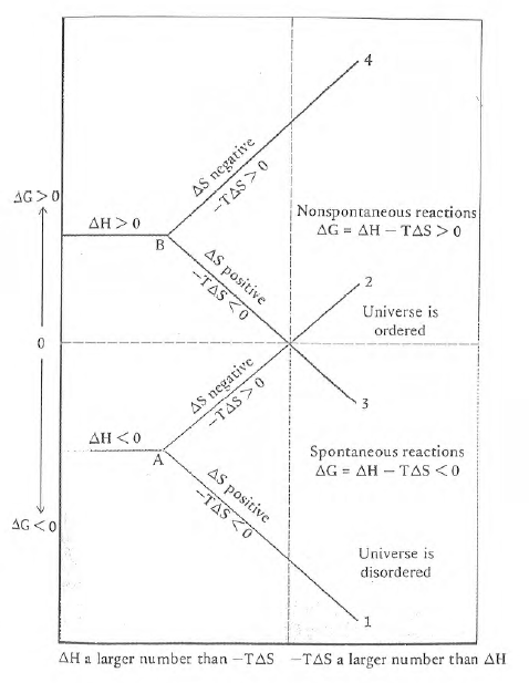 Figure 59 - Changes in D G as a function of the sign and magnitude of D S for an exothermic reaction (D H < 0, point A) or an endothermic reaction (D H > 0, point B). Point A corresponds to disordering of the surroundings while point B corresponds to ordering of the surroundings. When D S is negative, the system is ordered and when D S is positive, the system is disordered. The temperature dependence of the formal potential of myoglobin uniquely follows line two and then abruptly follows line three at 37C