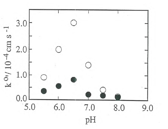Figure 52 - The Electrochemical Cell Especially Designed For Temperature Studies.