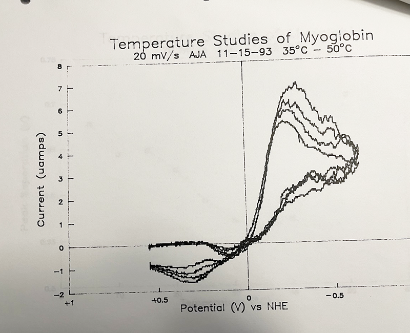 Temperature studies of myoglobin (20mV/s) aja 11-15-93 35-50C