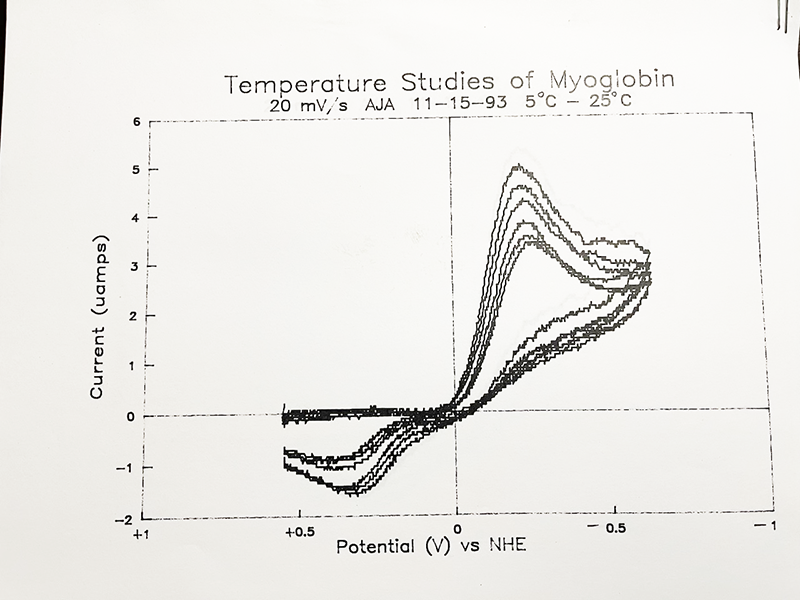 Temperature studies of myoglobin (20mV/s) aja 11-15-93 5-25<sup>ο</sup>C