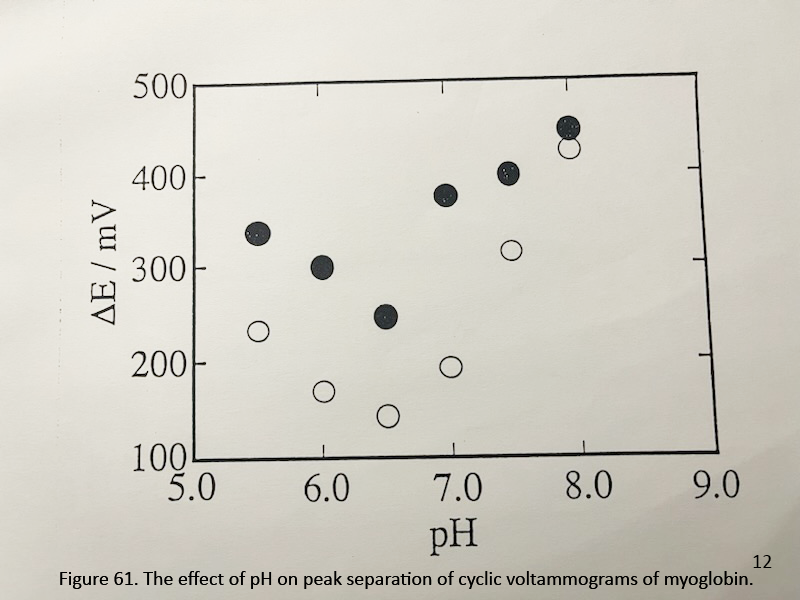Figure 61. The effect of pH on peak separation of cyclic voltammograms of myoglobin.