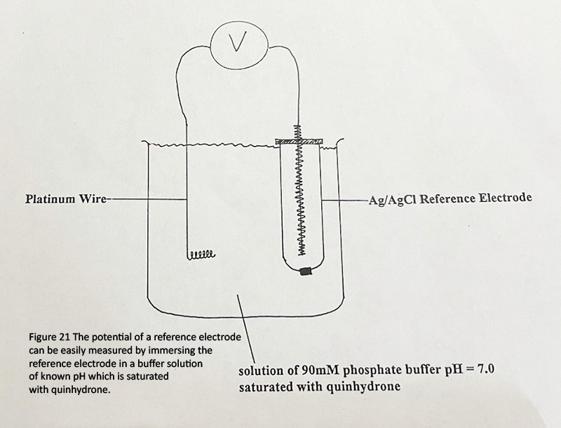 The potential of a reference electrode can be easily measured by immersing the reference electrode in a buffer solution of known pH which is saturated with quinhydrone.