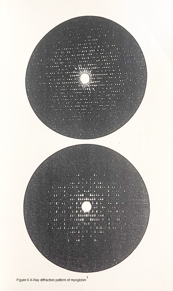 X-Ray diffraction X-Ray diffraction pattern of myoglobin
